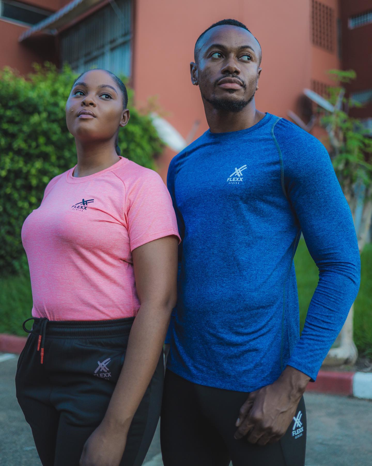 Collection of  in a gallery layout